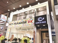PET PARADISE DX 神戸三宮センター街店