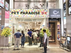 PET PARADISE DX 神戸三宮センター街店