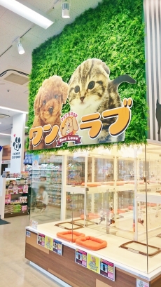 ワンラブ ゆめタウン久留米店