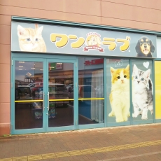 ワンラブ　ブルメール舞多聞店