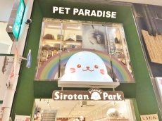 しろたんフレンズパーク＆PET PARADISE なんば戎橋店